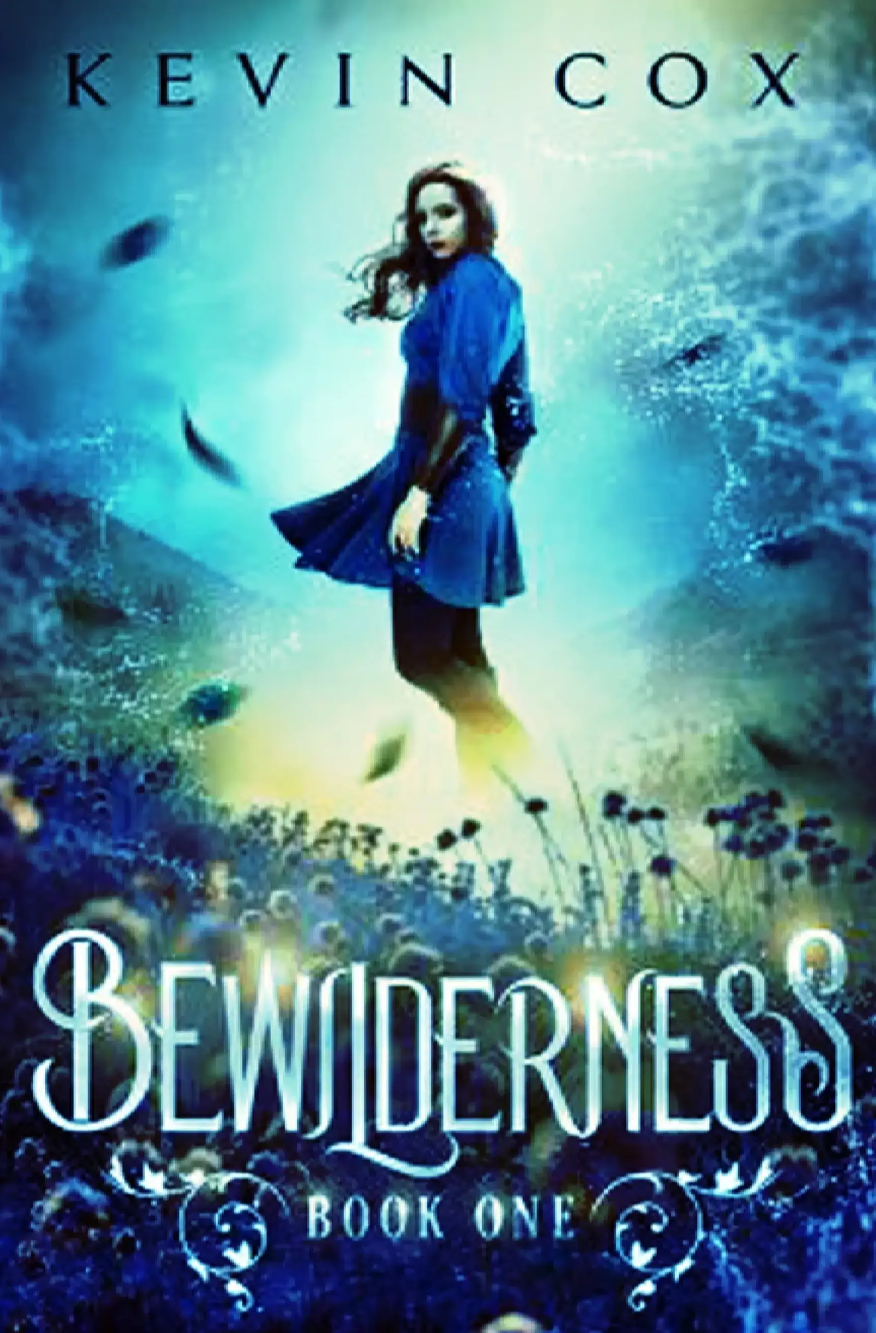 bewilderness